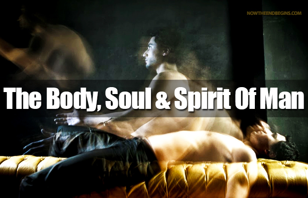 the-bible-believers-guide-to-the-body-soul-and-spirit-of-man-now-the