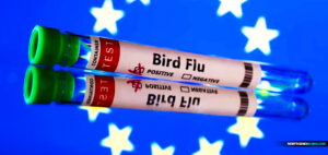 finland-first-nation-on-earth-to-vaccinate-for-bird-flu-disease-x-election-year-pandemic