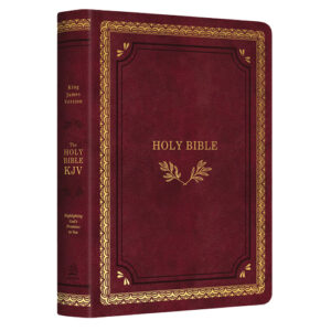 king-james-holy-bible-daily-devotional-nteb-christian-bookstore-palatka-florida-01