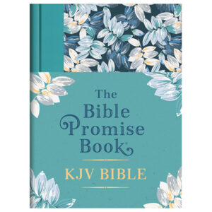 kjv-bible-promise-book-nteb-christian-bookstore-palatka-florida