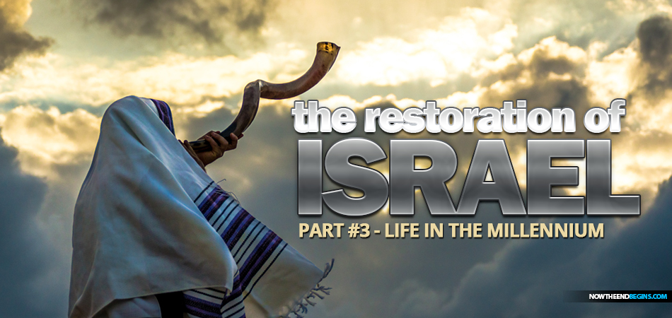 nteb-rightly-dividing-bible-study-restoration-of-israel-life-in-the-millennium