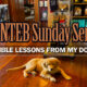 nteb-sunday-service-bible-lessons-from-my-dog