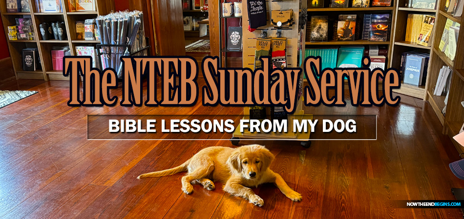 nteb-sunday-service-bible-lessons-from-my-dog