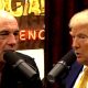 donald-trump-joe-rogan-podcast-blocked-on-google-youtube