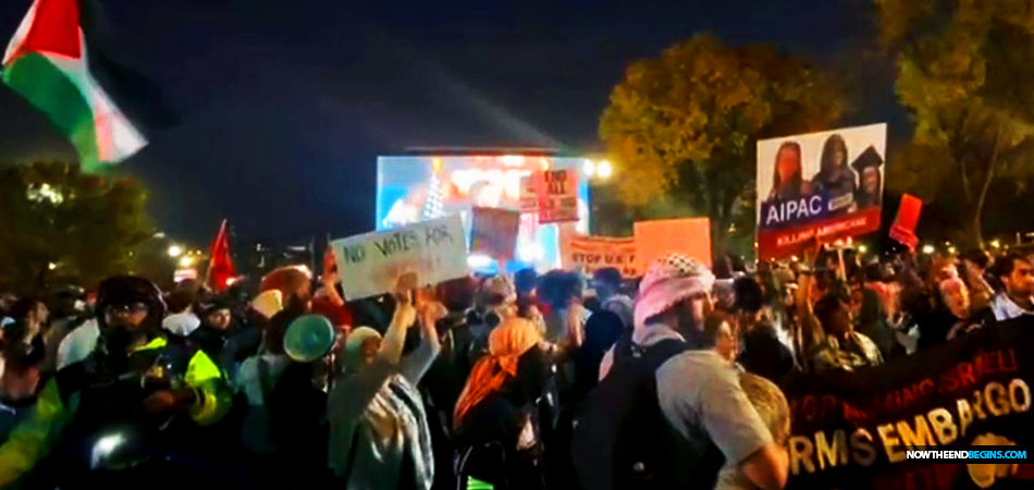 kamala-harris-rally-washington-dc-draws-pro-palestinian-protestors-free-gaza-death-to-israel