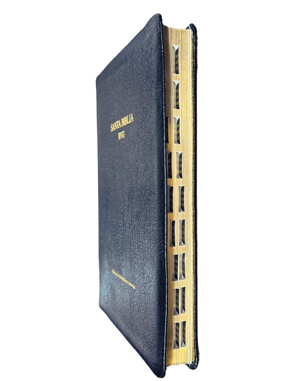 reina-valera-gomez-rvg-spanish-bible-full-size-leather-nteb-christian-bookstore-palatka-florida