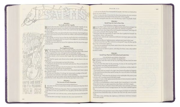 my-creative-bible-king-james-version-kjv-purple-05