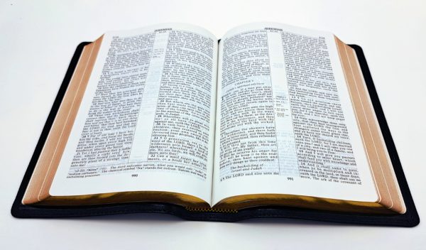 Ruckman Reference Bible - Goatskin - Image 3