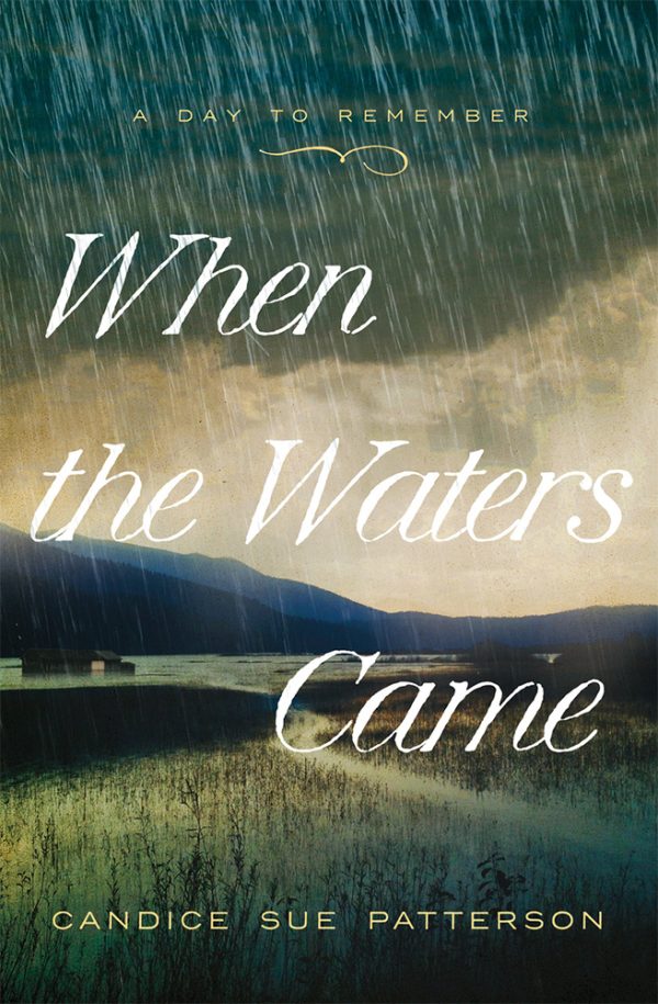 When the Waters Came - Patterson - Image 3